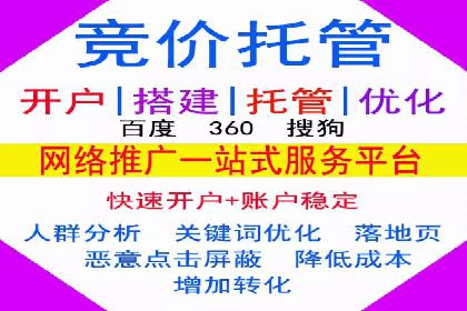 网络推广中的竞价广告：成功案例解析